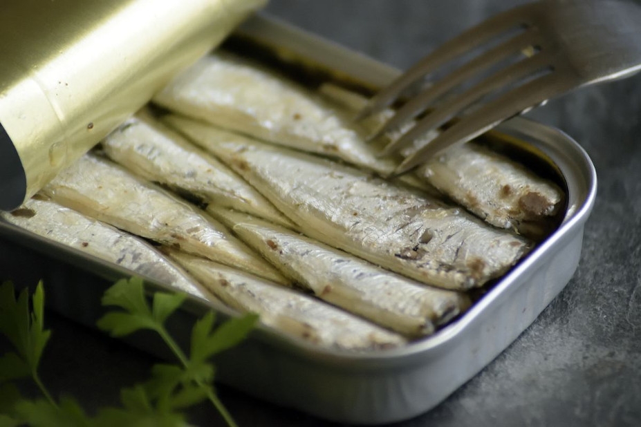 Sardinas en lata un alimento muy saludable y económico
