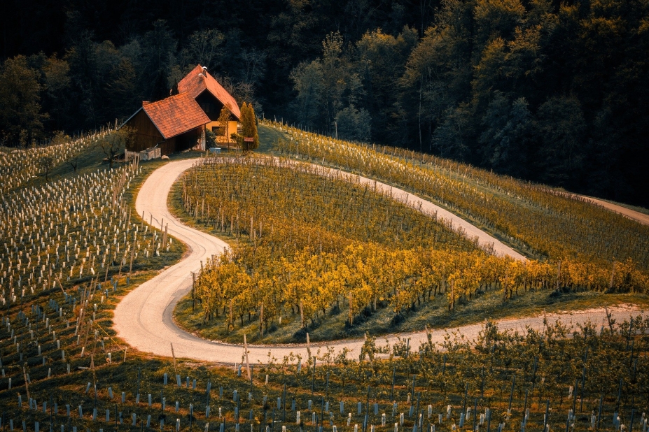 Vinos de Pago